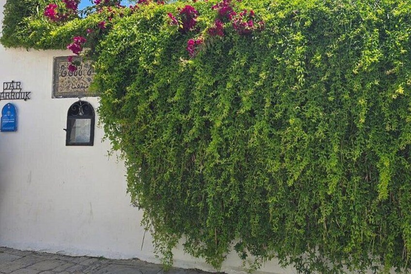 Private Day Trip: Carthage, Blue & White Sidi Bou Said & More 2
