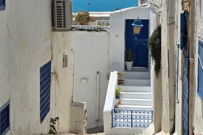 Private Day Trip: Carthage, Blue & White Sidi Bou Said & More 3