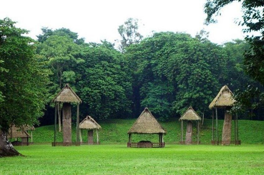 Thatched-roof huts in a grassy field with dense trees in the background. 5