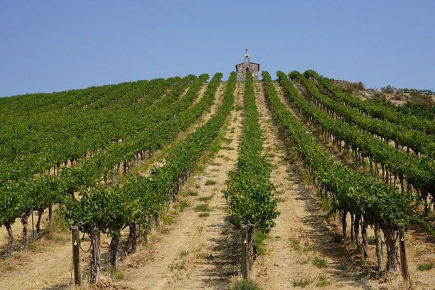 Wine Tasting at Samā Cellars a Boutique Washington Winery 4