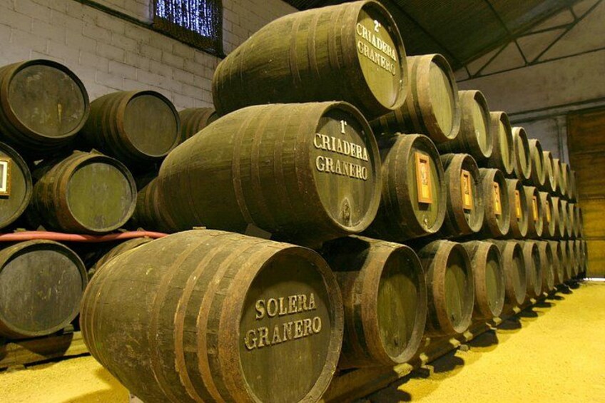 From Cádiz, Chiclana de la Frontera Winery Tour with Lunch 5