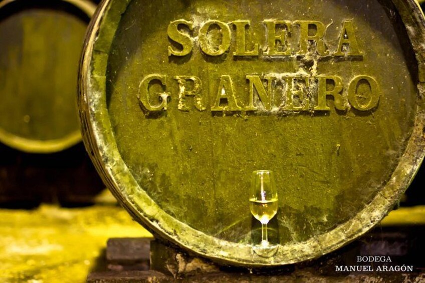 From Cádiz, Chiclana de la Frontera Winery Tour with Lunch 3