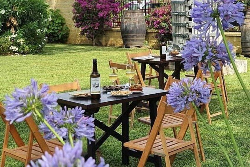 From Cádiz, Chiclana de la Frontera Winery Tour with Lunch 4