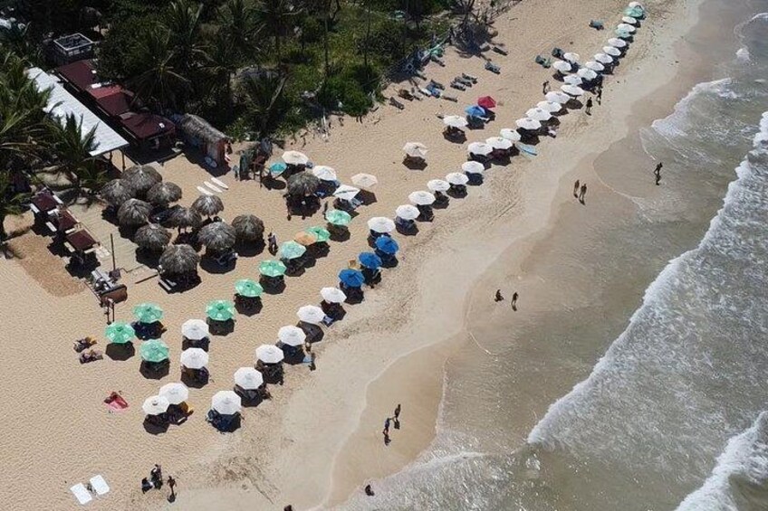 An aerial view of a beach with rows of umbrellas and beach chairs, palm trees, and ocean waves. 4
