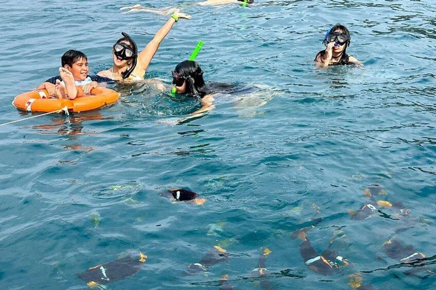 Whales Sea Lions and Snorkeling Experience from Puerto López 1