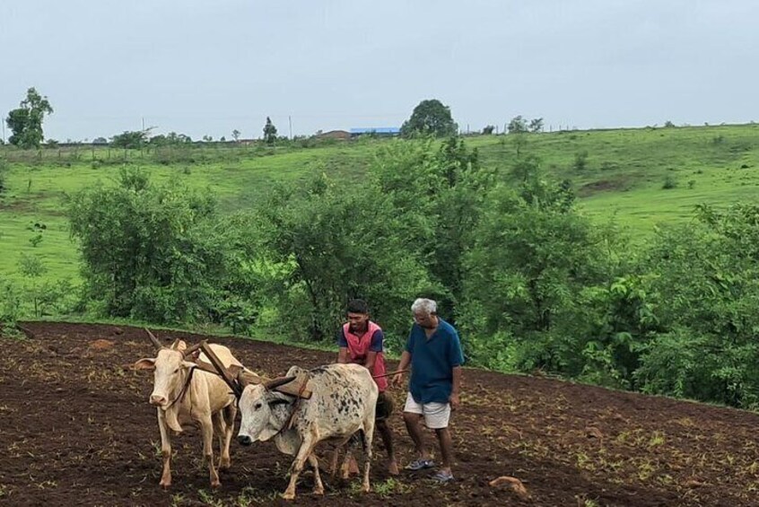 Tour De Small Town Maharashtra Nature Trekking and Star Gazing 3