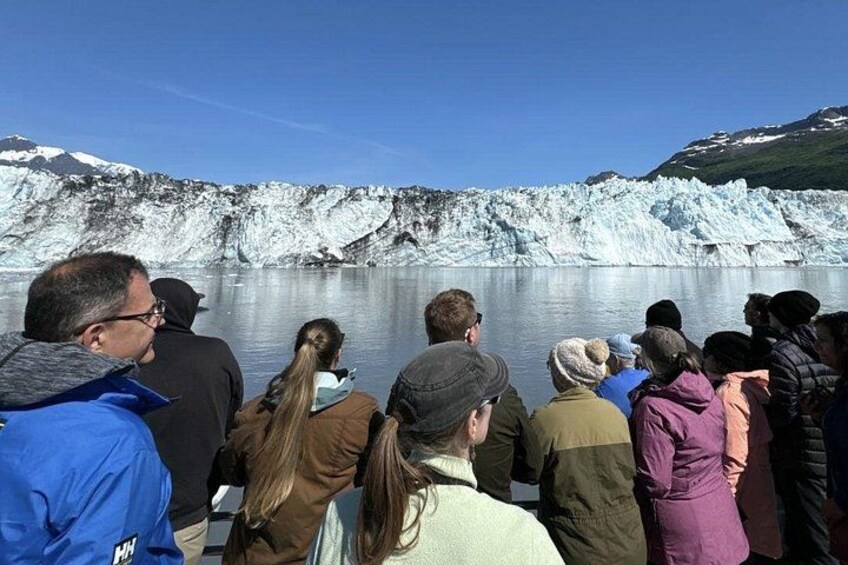 A group of people observing a glacier. 2