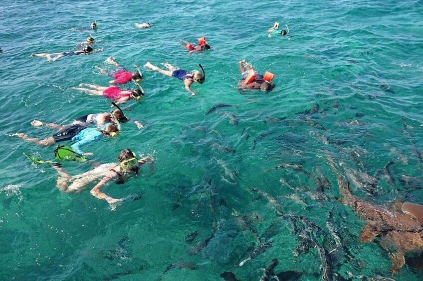 Personas haciendo snorkel en aguas azules y transparentes. 4