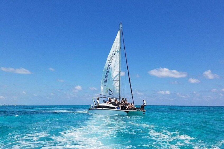 Un velero con vela blanca sobre aguas turquesas bajo un cielo despejado. 1