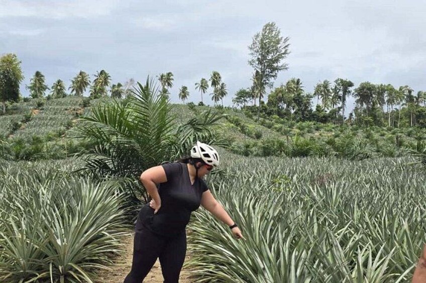 Khao Lak Waterfalls and Lakes Half Day Cycling Tour with lunch 3