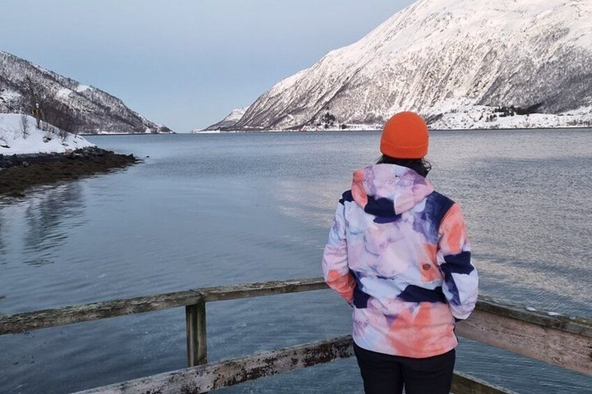 A person standing on a wooden dock overlooking a calm lake with snow-covered mountains in the background. 4