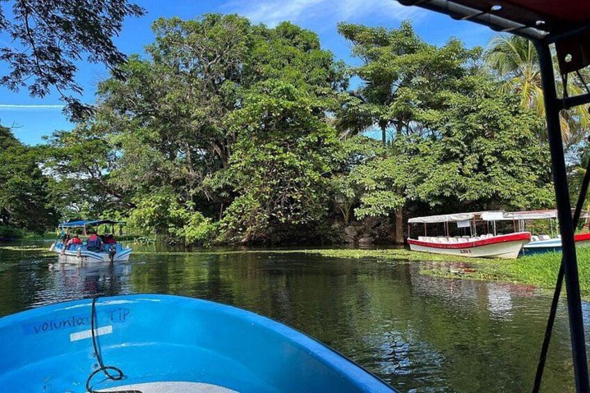 Un río con barcos, abundante vegetación y cielo despejado. 4