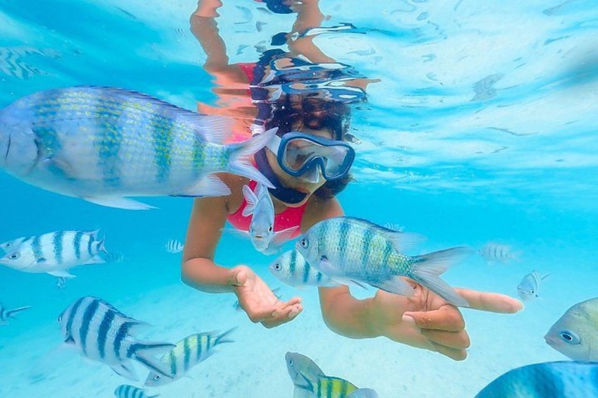 Cozumel: Water Park & Kuza Beach, Buffet & Open Bar Included 5