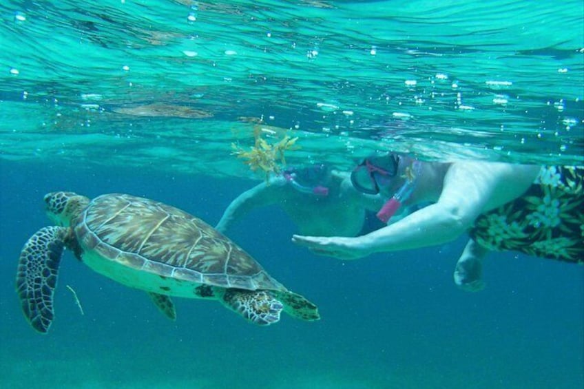 A person swimming with a sea turtle underwater. 3