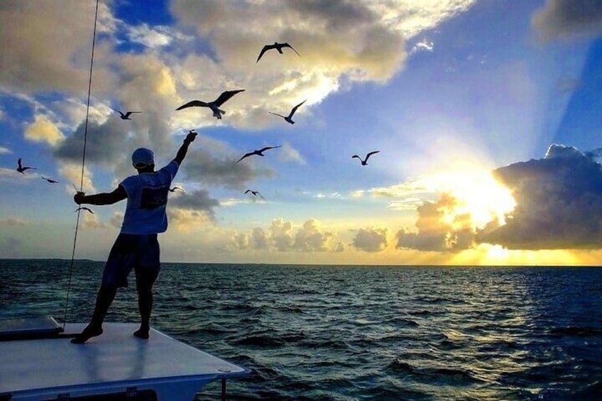 A person standing on a boat deck, holding a fishing rod, with birds flying around and the sun setting in the background. 2