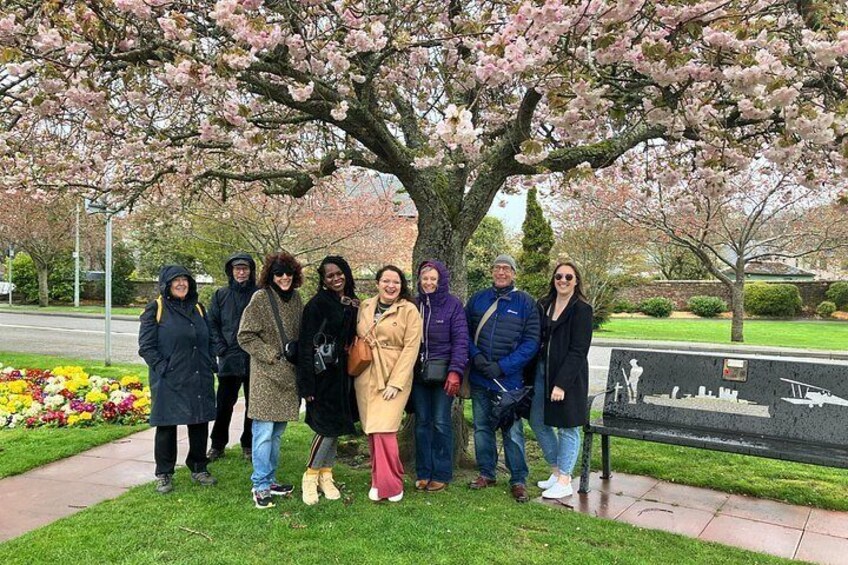 A group of people standing under a cherry blossom tree in a park. 5
