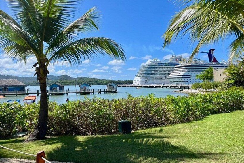 A cruise ship docked at a port with a clear blue sky, palm trees, and a grassy area in the foreground. 2