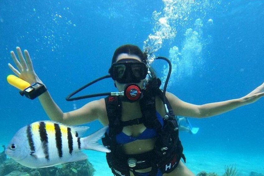 Cozumel: Chankanaab Marine Park Beginner Scuba Dive 5