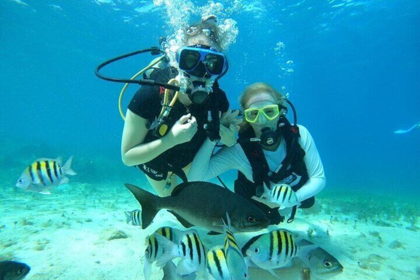 Two scuba divers underwater with fish around them. 1