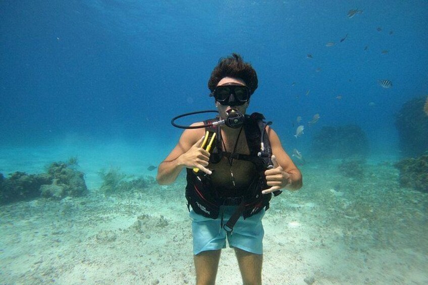 Cozumel: Chankanaab Marine Park Beginner Scuba Dive 2