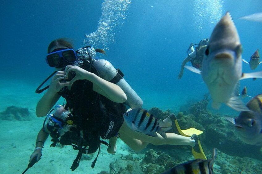 Cozumel: Chankanaab Marine Park Beginner Scuba Dive 4