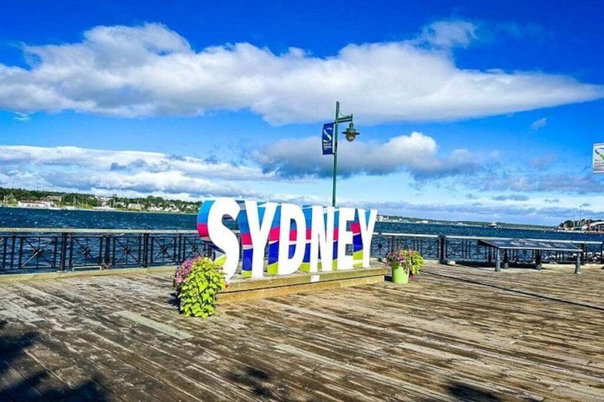 Sydney Sightseer City and Coastal Tour 1