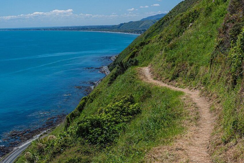 A coastal trail, ocean, and green hills. 5