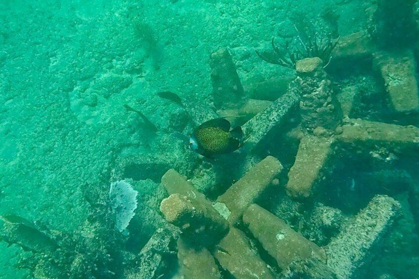 Fort Lauderdale: Combo Deal Snorkel Reefs, Kayak/SUP Mangroves 4
