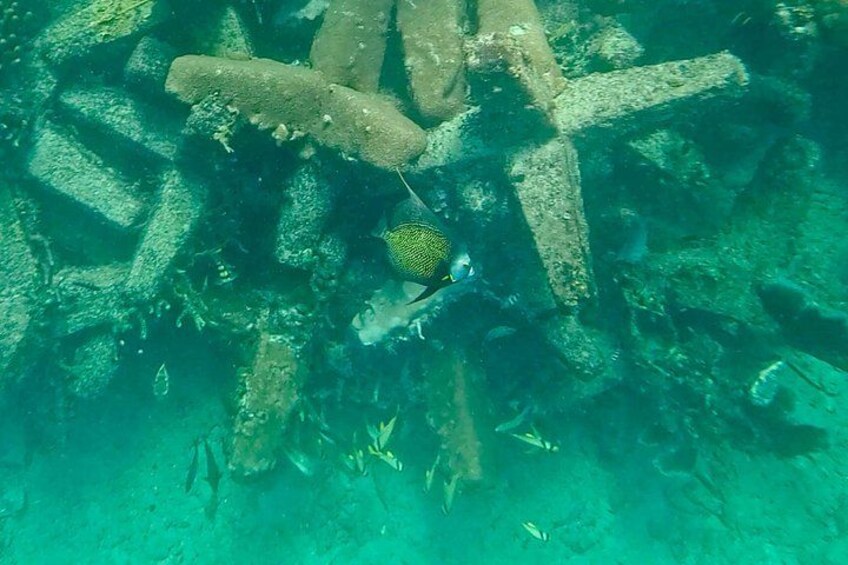 Fort Lauderdale: Combo Deal Snorkel Reefs, Kayak/SUP Mangroves 3