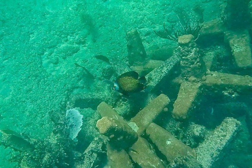 Fort Lauderdale: Combo Deal Snorkel Reefs, Kayak/SUP Mangroves 4
