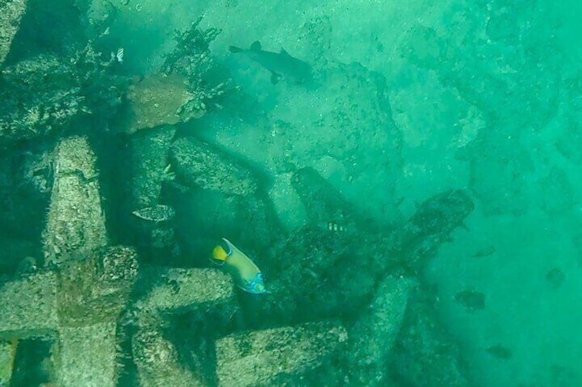 Eine Unterwasseraufnahme eines Tauchers, der ein versunkenes Schiffswrack erkundet. 2