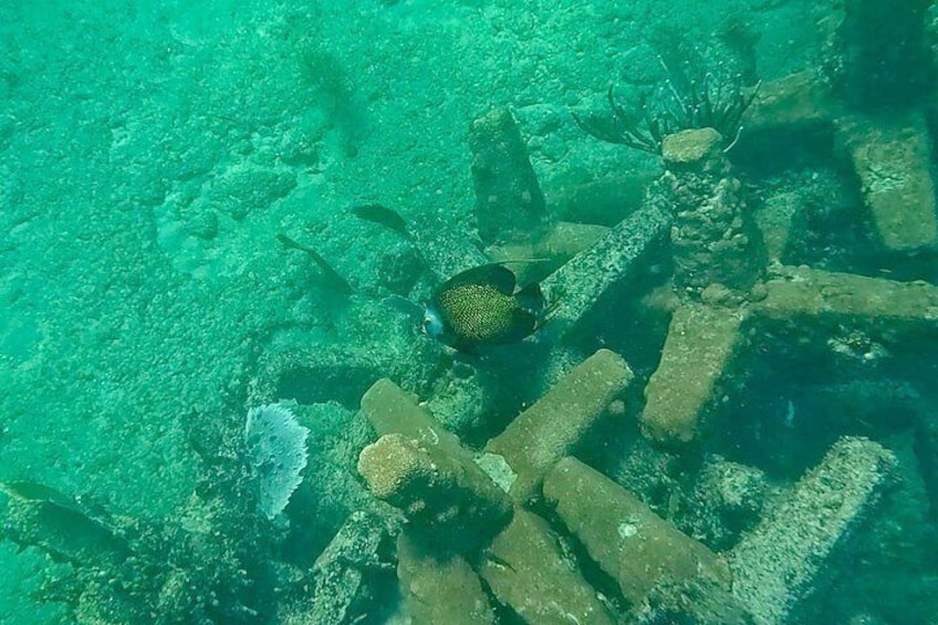 Fort Lauderdale: Combo Deal Snorkel Reefs, Kayak/SUP Mangroves 3