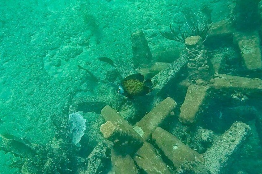 Fort Lauderdale: Combo Deal Snorkel Reefs, Kayak/SUP Mangroves 4
