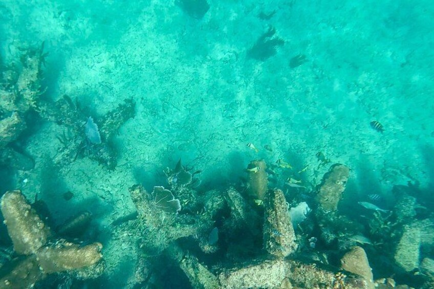 Fort Lauderdale: Combo Deal Snorkel Reefs, Kayak/SUP Mangroves 2