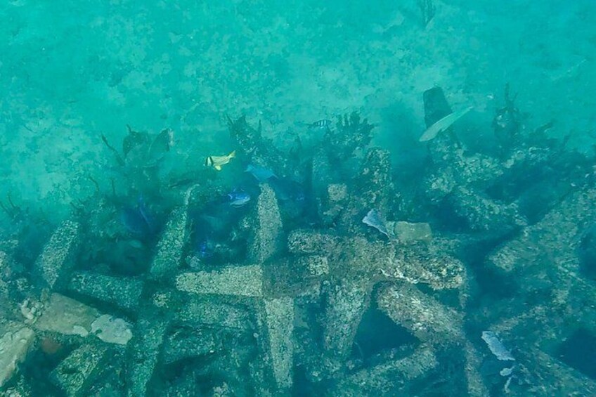 Fort Lauderdale: Combo Deal Snorkel Reefs, Kayak/SUP Mangroves 5