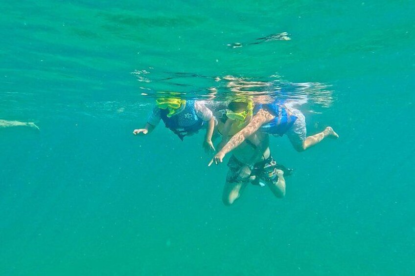 Fort Lauderdale: Combo Deal Snorkel Reefs, Kayak/SUP Mangroves 2