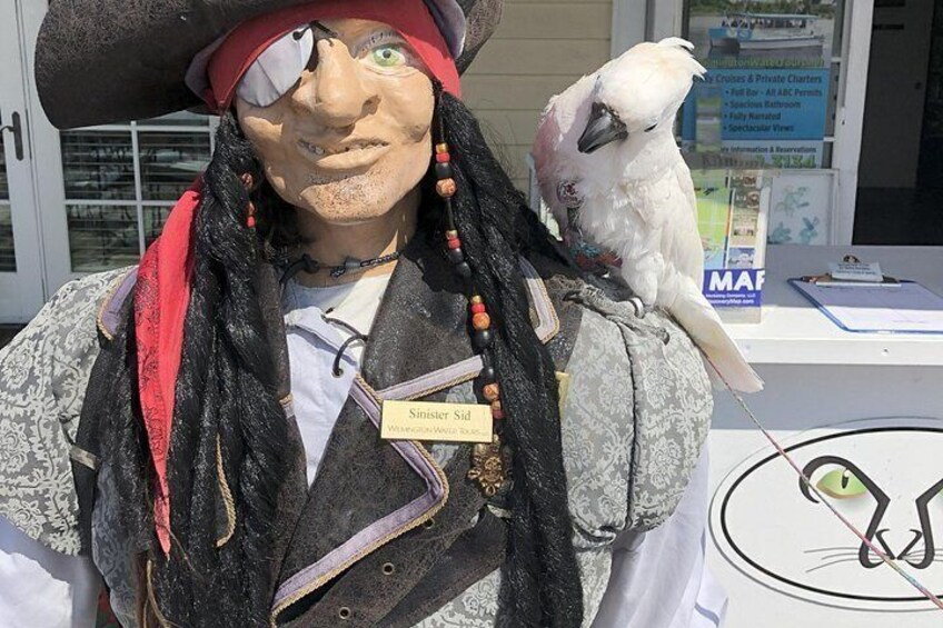 A pirate statue with a bird perched on its shoulder. 5