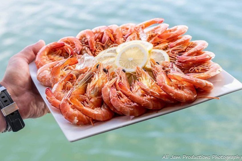 Newcastle Harbour Luncheon Cruise 2