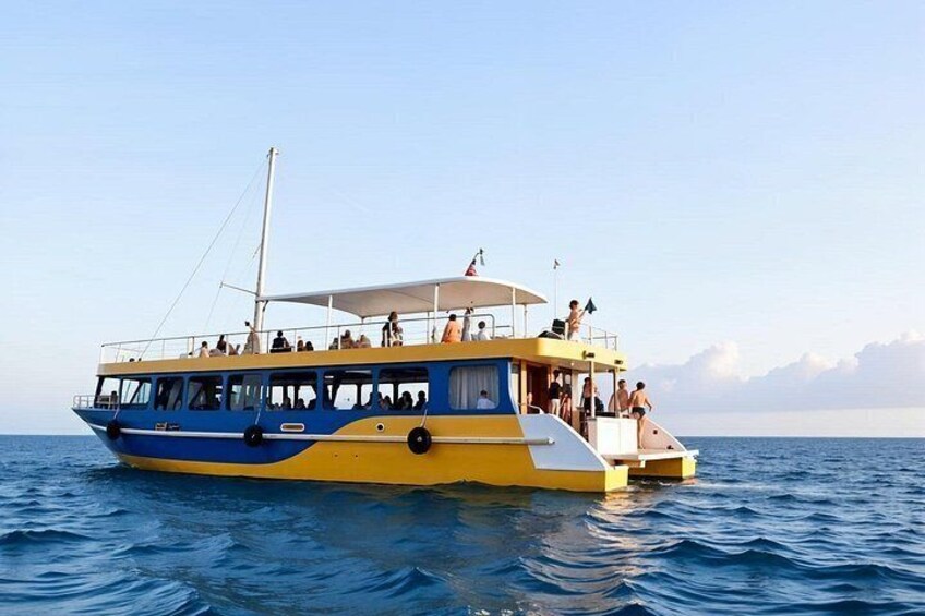 Catamaran used for whale watching tour 4