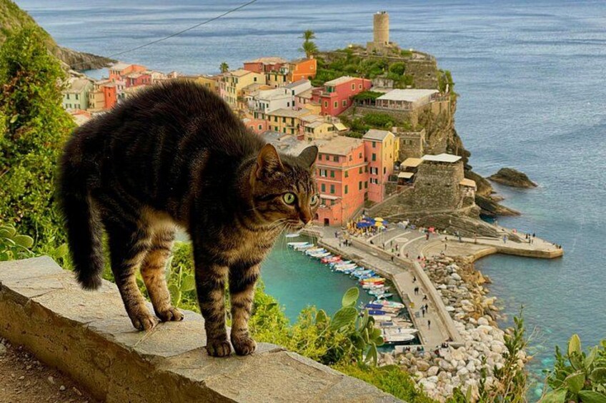 Classic Cinque Terre by Train or Ferry from La Spezia Cruise Port 1