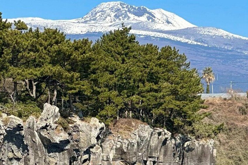 Private Tour in South Jeju including Yacht, Falls & Mt.Halla 2