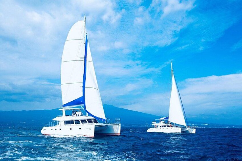 Private Tour in South Jeju including Yacht, Falls & Mt.Halla 3