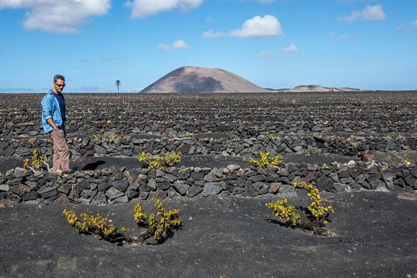 A person standing on a rocky terrain with sparse vegetation and a mountain in the background. 4