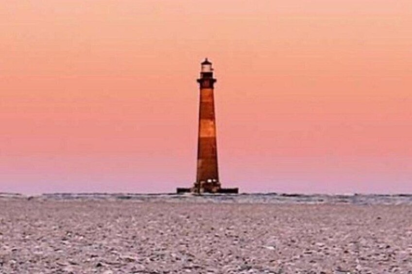 Private Folly River Dolphin Cruise (to 12 guests) 2