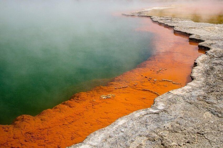 From Auckland : Hobbiton and Wai-O-Tapu Small Group Tour 3