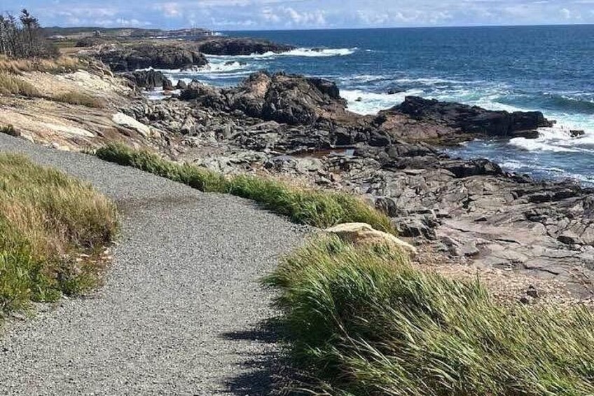 Hiking Trail at Louisbourg Lighthouse Scenic Coastal Views Tour 5