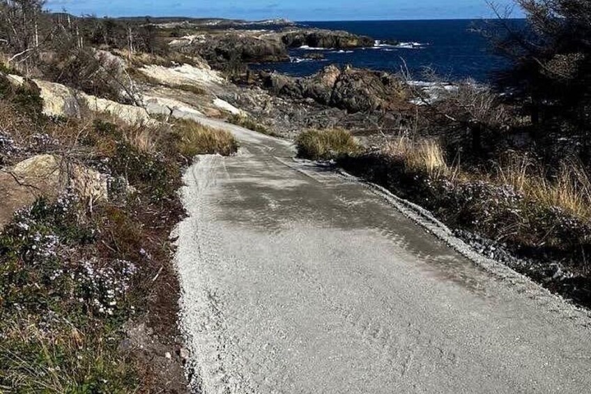 Hiking Trail at Louisbourg Lighthouse Scenic Coastal Views Tour 2