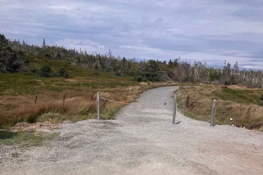 HIKING TRAIL 2