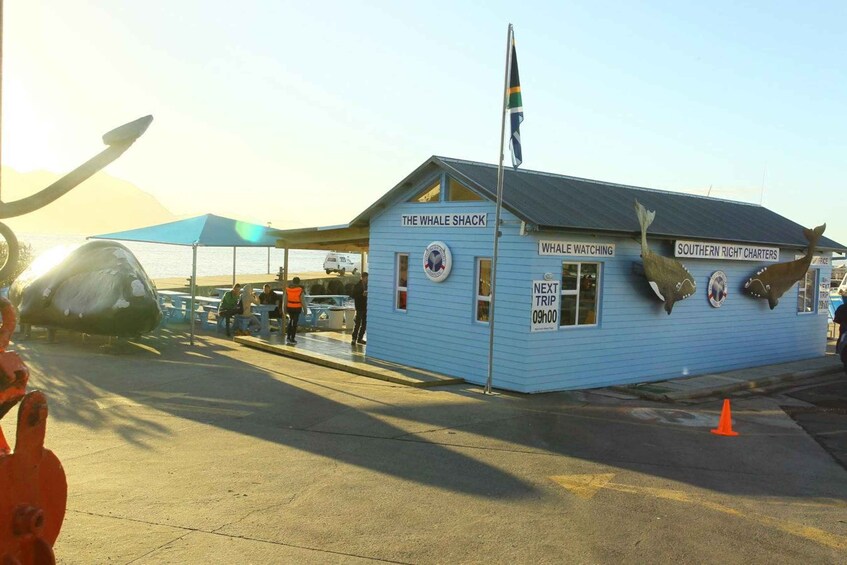Picture 10 for Activity From Cape Town: Full-Day Hermanus Whale Watching Tour 2