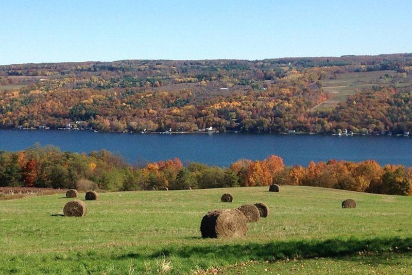A field with hay bales, a lake, and autumn-colored trees in the background. 5